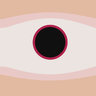 Gif 1